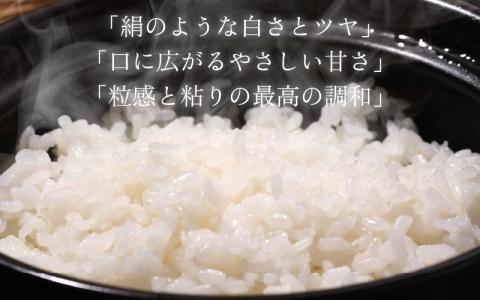 【福井のブランド米】【令和5年産】【特A獲得】いちほまれ 無洗米 2kg × 1袋[A-054024]
