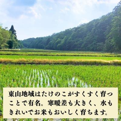 ふるさと納税 小松市 【先行予約】令和8年産 コシヒカリ 精米 5kg 石川県 小松市 こしひかり お米 白米【元田農産】 |  | 01