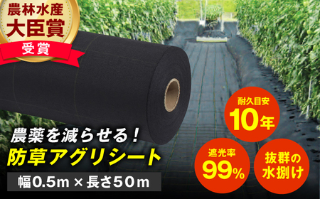 防草アグリシート（BB2218・耐久目安10年・幅0.5m×長さ50m） 防草シート 農業 園芸 庭 防草シート 雑草 草よけシート 防草シート 広川町 / 日本ワイドクロス株式会社[AFCA011]