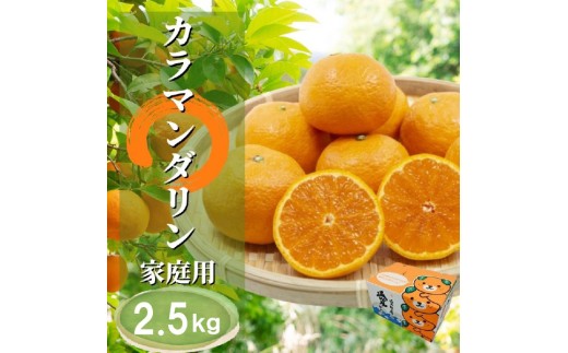 【2027年4月下旬頃から順次発送】カラマンダリン 家庭用 2.5kg | 愛媛 みかん 柑橘 お取り寄せ グルメ 期間限定 数量限定 人気 おすすめ 愛媛県 松山市