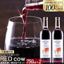 【ふるさと納税】南阿蘇村産ぶどう100%使用 赤ワイン RED cow 製造年違い 飲み比べセット 750ml × 2本《30日以内に出荷予定(土日祝除く)》熊本県 南阿蘇村 カベルネ・ソーヴィニヨン ヤマ・ソーヴィニヨン ワイン 酒 お酒