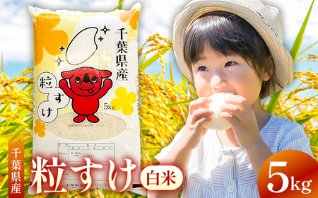 【2025年度産】【新米】千葉県産粒すけ 白米 5kg mi0068-0006