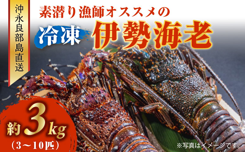 
                  沖永良部島直送！素潜り漁師オススメの冷凍伊勢海老 約3kg（3～10匹）！　W030-004u
                