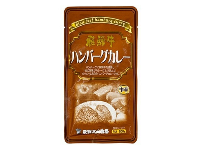 【ふるさと納税】飛騨牛入ハンバーグカレー 200g 4個