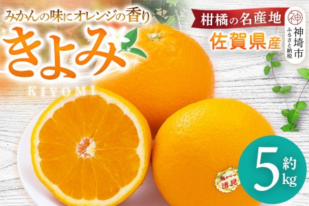 【令和7年3月より発送】佐賀県産柑橘『清見』約5000g【フルーツ 果物 みかん オレンジ 柑橘 デザート ふるさと納税】(H108110)