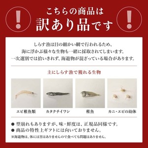 しらす 訳あり 2kg (200g×10パック) 小分け 釜揚げ しらす ごはん おかず チャーハン パスタ 料理 大きめ