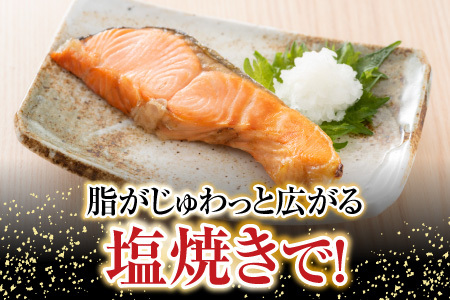 【北海道根室産】時しらず鮭切身1切×4P G-42017