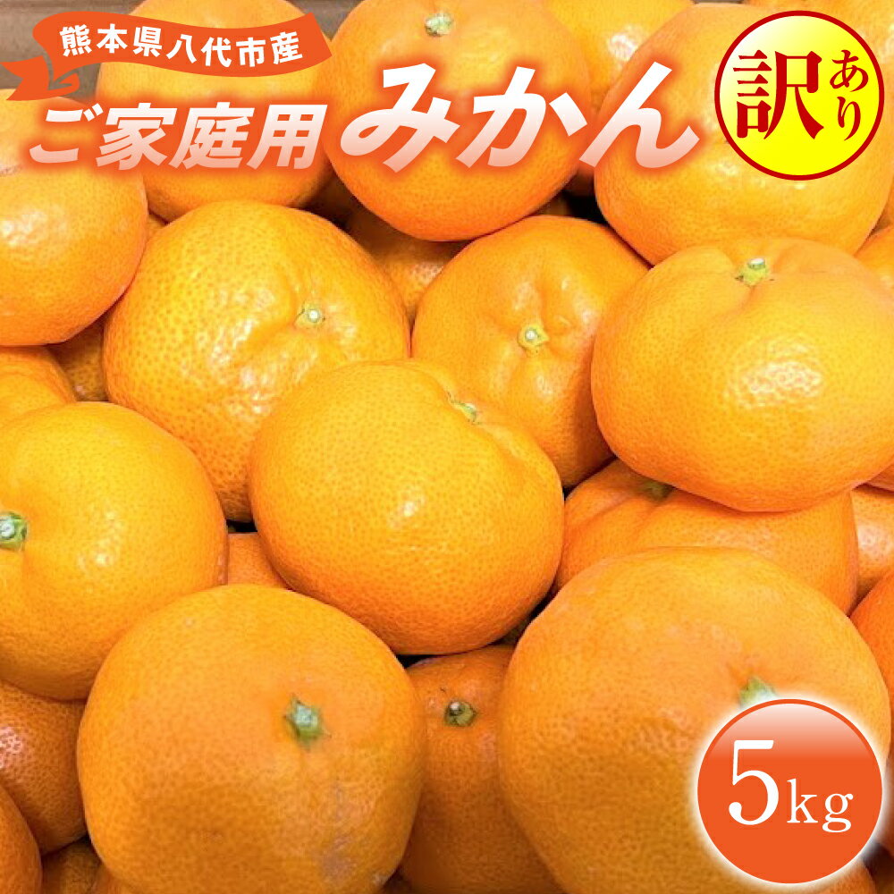 【ふるさと納税】 【先行予約】 【訳あり】 熊本県八代市産 ご家庭用みかん5kg 蜜柑 柑橘 ミカン フルーツ デザート 送料無料 【2025年9月下旬より順次発送】