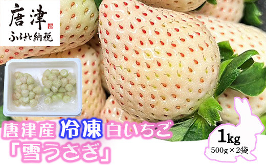 
唐津産 冷凍白いちご「雪うさぎ」500g×2袋(合計1kg) 真空包装 加工品用 苺 イチゴ 希少 果物 フルーツ
