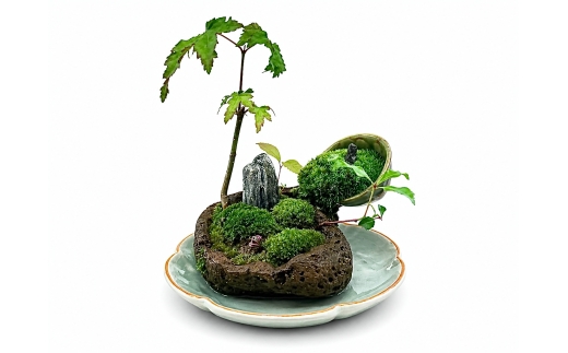 自社栽培の植物山野草と苔のミニ庭園 盆栽 苔 植物 インテリア 癒し 室内 観賞用 贈り物 贈答品 贈答用 ギフト プレゼント 一点物 自社栽培 山もみじ アセビ 多肉植物 溶岩石 ミニチュア空間 ミニチュア 空間