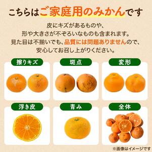 家庭用 温州みかん 10kg ※2026年11月中旬頃～12月下旬頃に順次発送予定 農家直送 / くだもの  果実  柑橘 果物 フルーツ 国産 和歌山県 由良町 ご家庭用 人気 おすすめ【nktn0