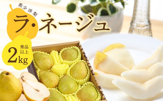 《先行予約》令和8年産 洋梨 ラ・ネージュ 2kg（5 - 10玉） 秀品以上 《化粧箱入り》 サイズおまかせ 山形県産 2026年産【2026年11月下旬頃から12月下旬頃発送予定】　012-B-A