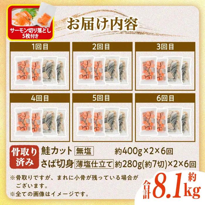 生活応援 サーモン切り落とし5枚付き！【定期便・全6回(連続)】骨取り さば切身と鮭カットのセット(総量約8.1kg)鮭 小分け 冷凍 サーモン シャケ サケ サバ 鯖 骨なし 骨取り セット 魚 魚