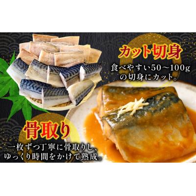 ふるさと納税 気仙沼市 訳あり 骨取り トロ さば 切身 計3kg (500g×6p) [足利本店 20565813] |  | 02