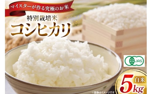 米 令和7年 特別栽培米 コシヒカリ 5kg 【有機JAS】 [遠藤農園 山形県 高畠町 tk06ayt120011] こしひかり 5キロ お米 ブランド米 ごはん ご飯 白米 精米 こめ