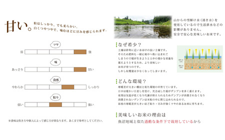 [定期便] 天水田で育った コシヒカリ 5kg ×3か月 オーガニック米 新潟県産 こしひかり [由兵衛どん] 