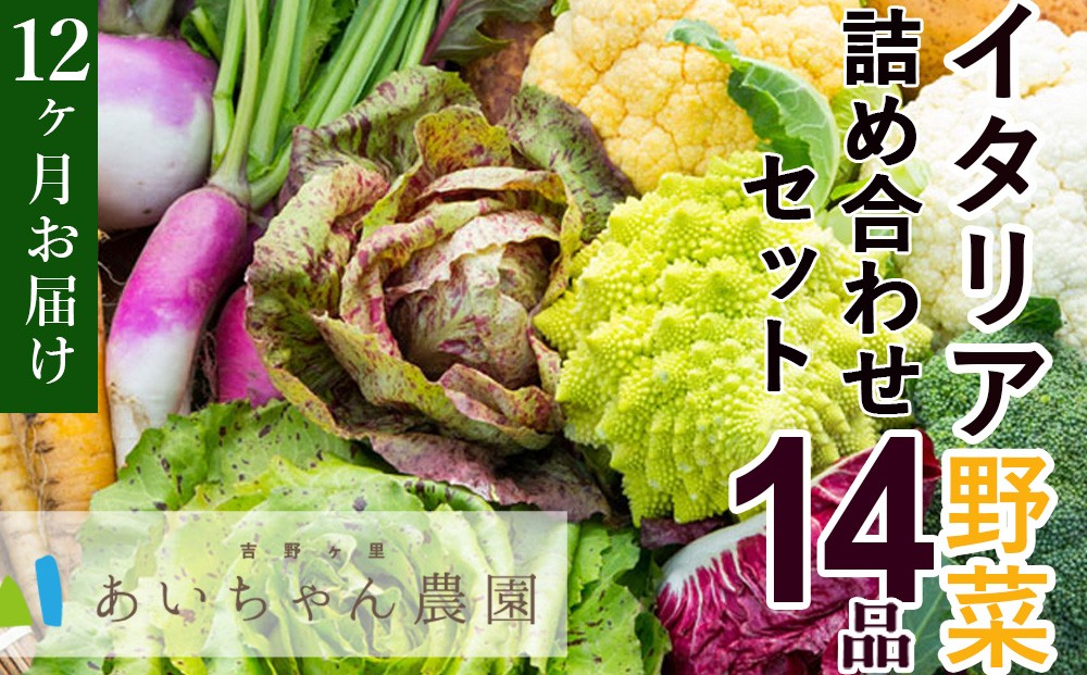 
                  【定期便セット】全12回 季節のイタリア野菜詰め合わせ14品(西洋野菜・珍野菜など）
                