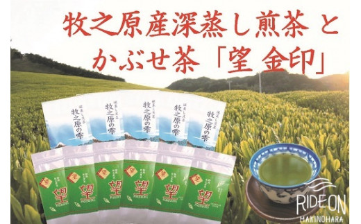 
098-6　牧之原産深蒸し茶「牧之原の雫」とかぶせ茶「望」計11本詰合せ
