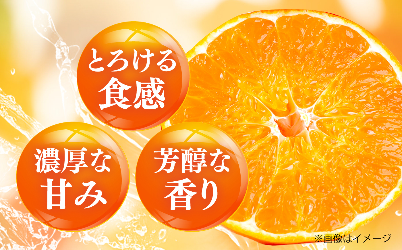 みかん 訳あり せとか 約10kg サイズ不揃い【2月下旬から3月下旬まで順次発送】 / フルーツ 果物 蜜柑 ミカン オレンジ 訳あり 訳アリ 小玉 甘い 先行予約 10kg 愛媛 / 愛媛県砥部町
