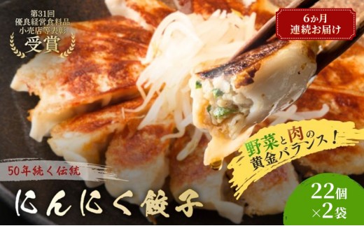 にんにく餃子44個(22個×2袋)6か月連続お届け 餃子 冷凍餃子 冷凍ギョーザ 手作り餃子 ギョーザ 点心 中華 中華料理 惣菜 簡単調理 加工食品 静岡県 森町