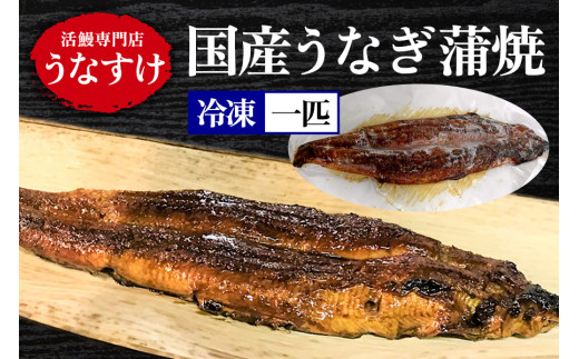 [冷凍] 国産うなぎ 蒲焼 (1匹) [0920]