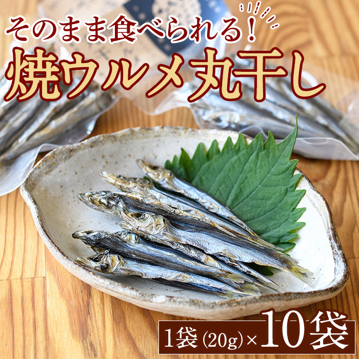 焼ウルメ丸干し10袋セット(20g×10袋)海産物 いわし 鰯 ウルメイワシ おつまみ おかず【下園薩男商店】a-16-38