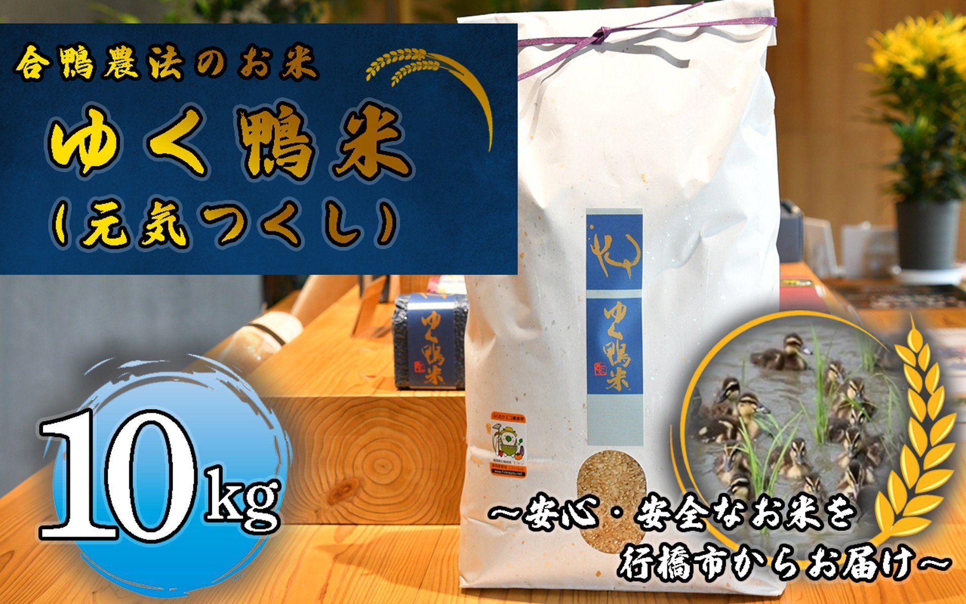 
            CB-003_合鴨農法のお米「ゆく鴨米」（元気つくし）10ｋｇ～安心･安全なお米を行橋市からお届け
          