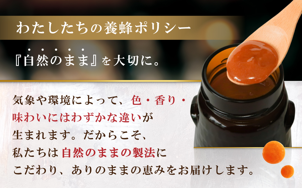 【定期便全６回】マヌカハニー MGO1050+ 500g ストロングマヌカハニー・T147