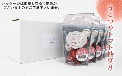 うるつやトマト糖度8 ／ とまと リコピン GABA 愛知県 No.376