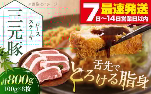三元豚 ロースステーキ 8枚（100g/枚）  藻塩ナシ 《喜茂別町》【平田牧場】肉 豚肉 ロース ステーキ ステーキ用 とんかつ トンテキ 生姜焼き 冷蔵配送 北海道 [AJAP069] 17000 17000円