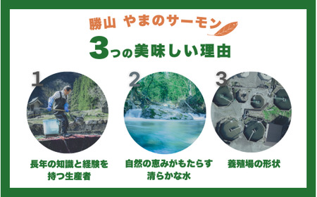 勝山 やまのサーモン 半身 冷凍  ※800ｇ以上×3枚 [E-050003]