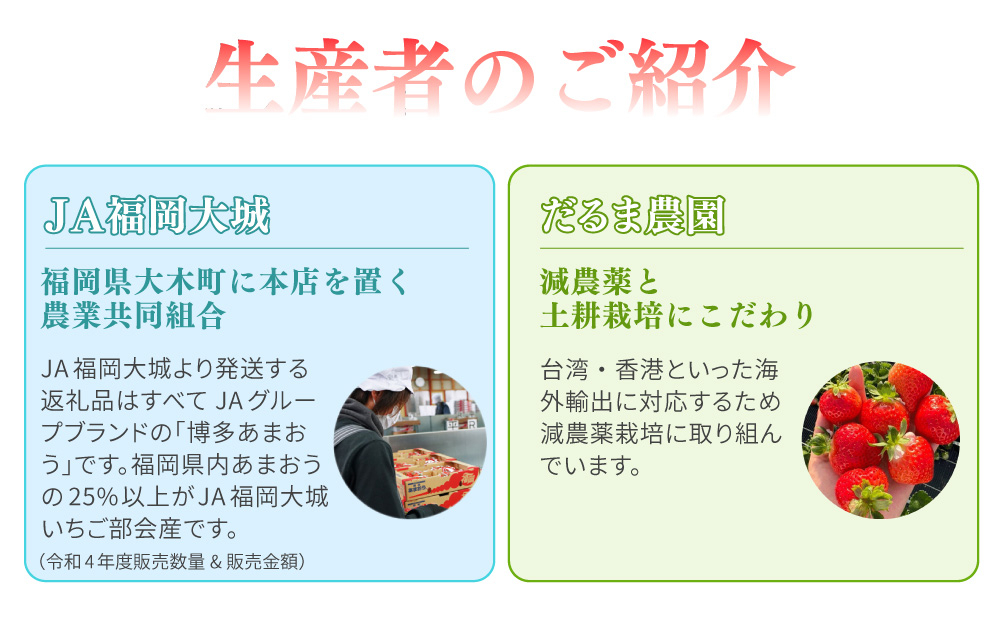 《先行予約》【アフター保証】いちご あまおう 大木町 約250g×2パック 合計500g 【2027年2月～3月に順次出荷予定】 イチゴ あかい まるい おおきい うまい CB223-2P-b