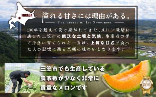 《2026年分受付中》大玉！とろける食感の北海道三笠メロン2玉入(3.2kg以上)