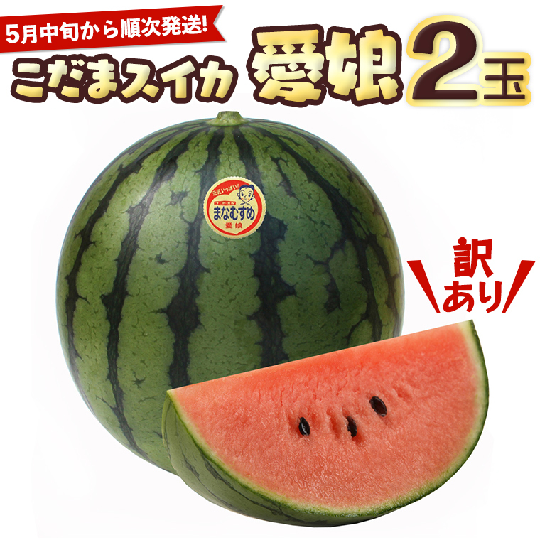 【訳あり】  際まで甘い こだまスイカ　愛娘（２玉）【2025年5月中旬より発送開始】スイカ 西瓜 旬 旬の果実 旬のフルーツ くだもの 果実 フルーツ 夏 小玉スイカ 小玉 果物 美味しい [BC061sa]