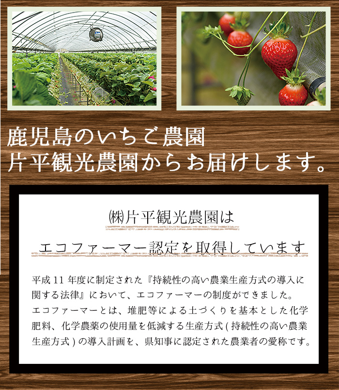 No.362 ＜先行予約受付中！＞＜訳あり・小粒＞ころころサイズの冷凍いちご(計約2.55kg・850g×3袋) 訳アリ イチゴ 苺 冷凍 果物 フルーツ 国産 鹿児島県産 減農薬 アイス 不揃い 規