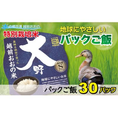 ふるさと納税 大野市 地球にやさしいパックご飯 30食入り【白米】「特別栽培米」-地球にやさしいお米-