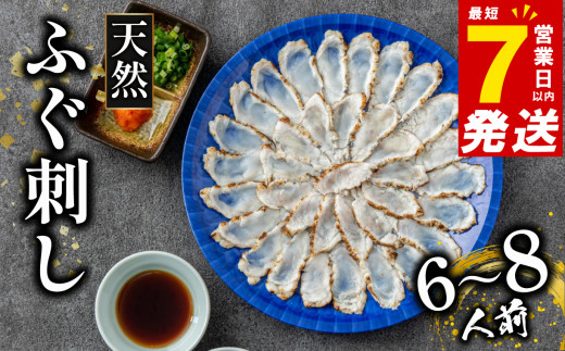7営業日以内発送 天然 ふぐ 刺身 6～8人前 冷凍 真空 解凍するだけ お手軽 まふぐ 炙り たたき 大皿 てっさ 国産 フグ刺し 刺し身 河豚 高級 鮮魚 魚 魚介 新鮮 家庭用 プレゼント 鍋 大阪府 松原市 限定 下関 に並ぶ 玄品ふぐ ふるさと納税ふぐ 6人前 8人前 冬 旬 年末配送