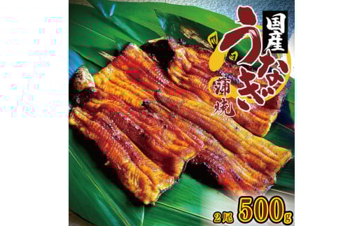 うなぎ 国産 鰻 蒲焼き 2尾 500g 秘伝のタレ付 炭火焼き ウナギ かば焼 国産うなぎ 蒲焼 鰻蒲焼き タレ セット 魚 魚介 惣菜 ギフト 贈り物 贈答 土用の丑 和食 日本料理 冷凍 徳島県 吉野川市