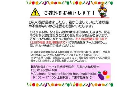 【定期便6回】ひばり農園の無農薬ワクワク野菜セット 《6月より発送開始》 【594】