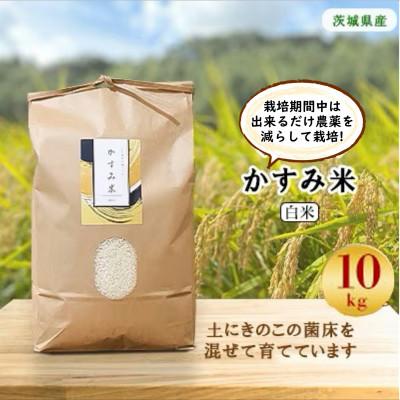 ふるさと納税 潮来市 【毎月定期便】栽培期間出来るだけ農薬を減らして作る「かすみ米」白米10kg全12回