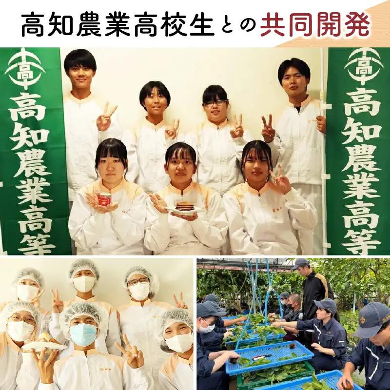 有機グアバ農園 なめらかジェラート 6個 アイスクリーム ジェラート