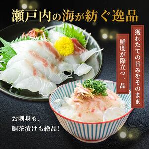 天然 真鯛刺身 約450g 鯛 冷凍