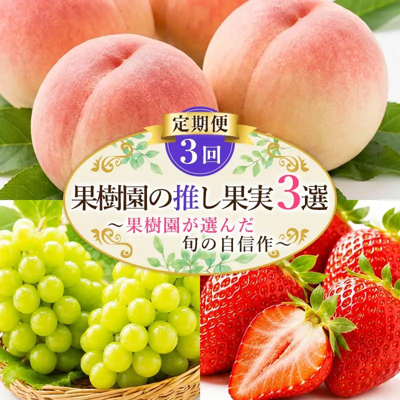 【定期便3回】果樹園の推し果実３選 果樹園が選んだ、旬の自信作 FY26-184