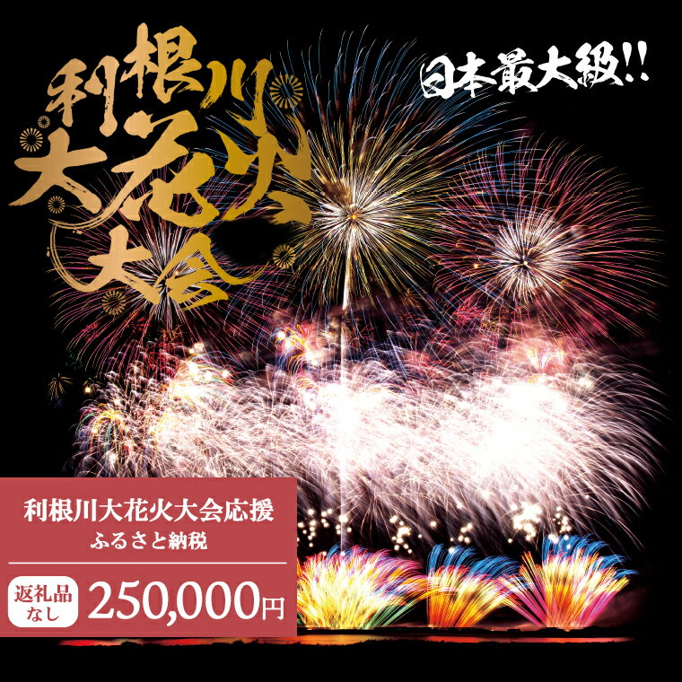 【ふるさと納税】【返礼品なし】利根川大花火大会応援ふるさと納税 (250000円分) 【茨城県境町】