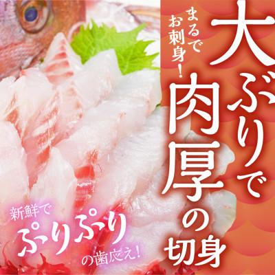 ふるさと納税 沼津市 沼津産　鯛ごま茶漬け8袋 |  | 02