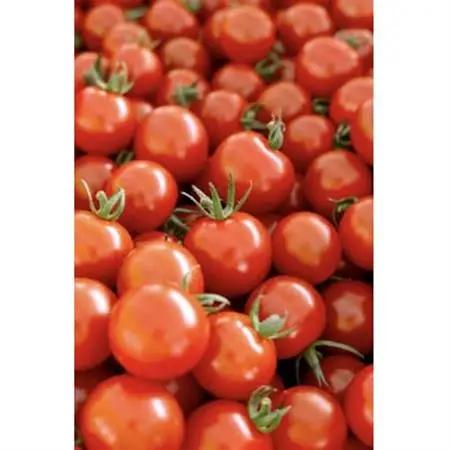 芳醇高糖度ミニトマトの贅沢ジャム(2個)と、贅沢無添加トマトジュースのセット【1652157】