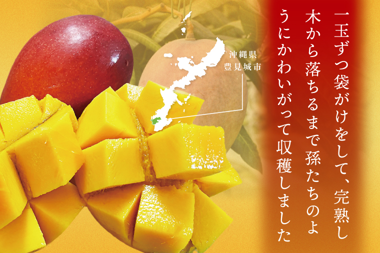 【2026年7月より順次発送】豊見城産マンゴー『殿内之宝(どぅんちのたから)』約1kg(ご家庭用)｜マンゴー フルーツ 果物 くだもの 先行予約 完熟マンゴー 沖縄フルーツ 家庭用 おきなわ 沖縄 沖