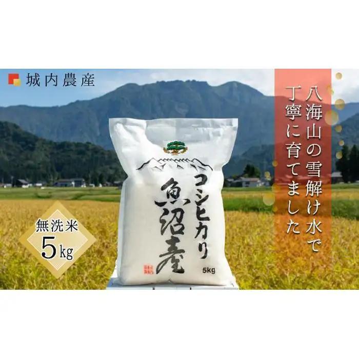 【令和８年新米予約】南魚沼産コシヒカリ 無洗米５ｋｇ 【５割減農薬栽培米】城内農産｜無洗米【2026年9月下旬から1ヶ月以内に順次発送予定】