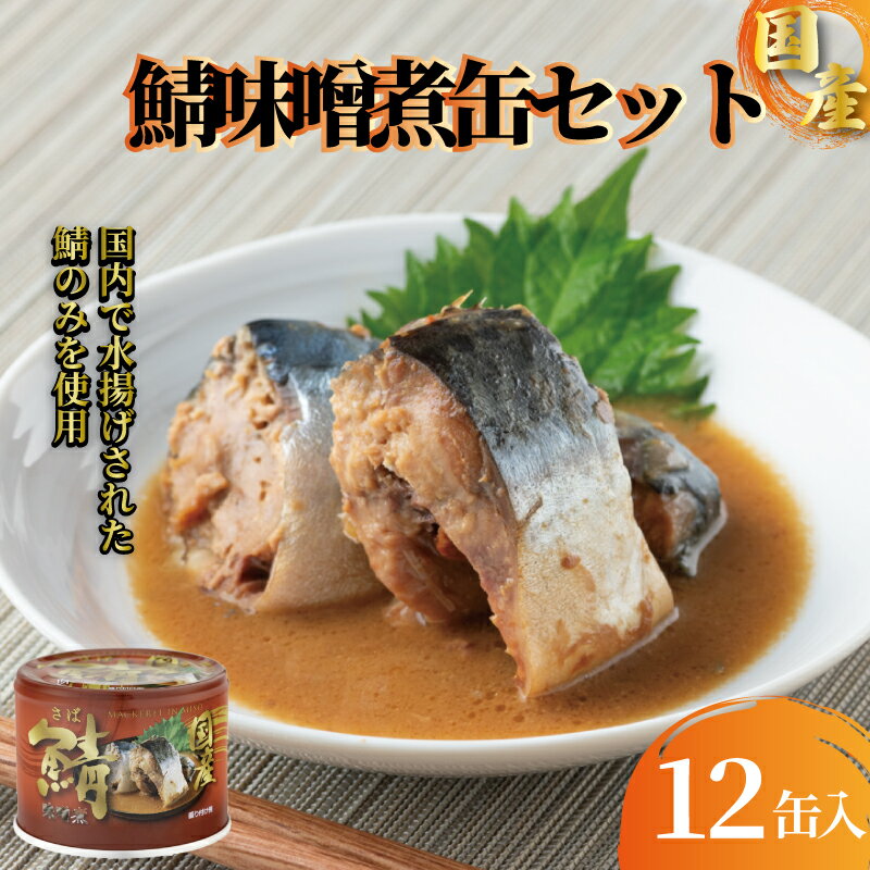 【ふるさと納税】 国産 鯖味噌煮 12缶セット 190g さば 鯖 味噌煮 缶詰 グルメ お取り寄せ 贈答 贈物 プレゼント ギフト 保存食 非常食 防災 キャンプ 常温 備蓄 缶詰セット 詰め合わせ 青魚 健康 魚 魚貝 魚介 海鮮 ふるさと納税缶詰 ふるさと納税 信田缶詰 千葉県 銚子市