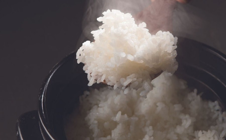 新米 先行予約 [定期便10kg (5kg×2袋) ×3ヶ月] コシヒカリ 新潟県三条市下田産 こしひかり 計30kg 令和7年産米 [JAえちご中越]【046S007】